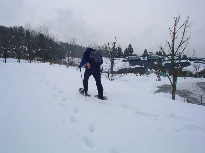 SANY0677
