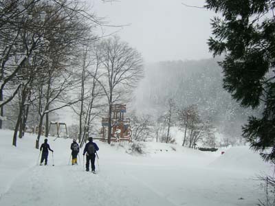 SANY0693