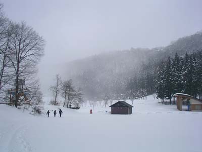 SANY0694