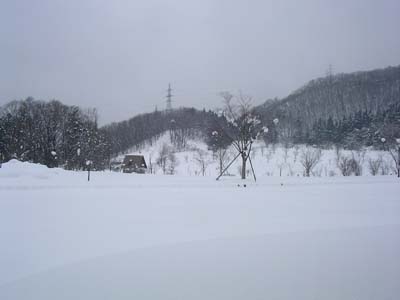 SANY0699