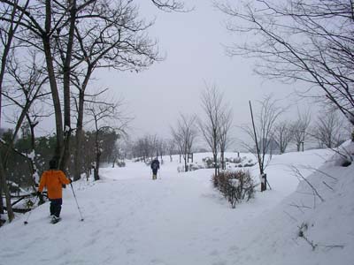 SANY0707
