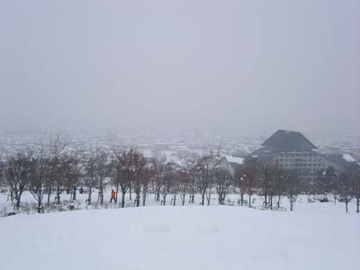 SANY0709
