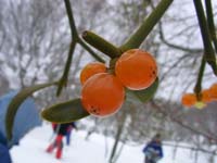 SANY0024