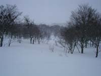 SANY0027