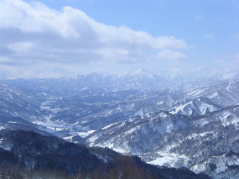 SANY0023