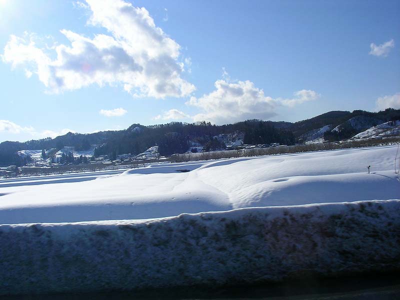 SANY0065