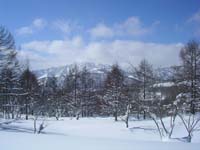 SANY0009
