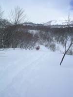 SANY0029