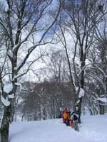 SANY0033