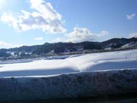 SANY0065
